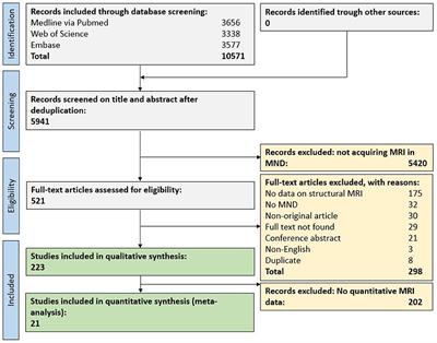 Structural magnetic resonance imaging findings and histopathological correlations in motor neuron diseases—A systematic review and meta-analysis